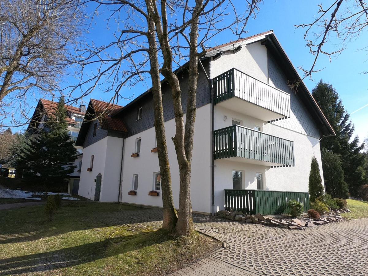 Apartment Am Huetteberg Braunlage Kültér fotó